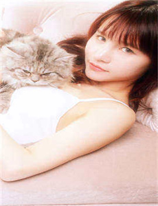 japanese av gril JAV-厨子戏子痞子 影音
