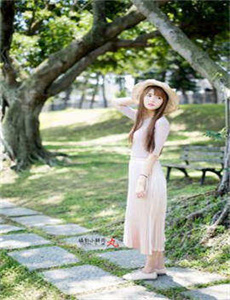 藏龙卧虎