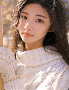 赛德克·巴莱(上)：太阳旗